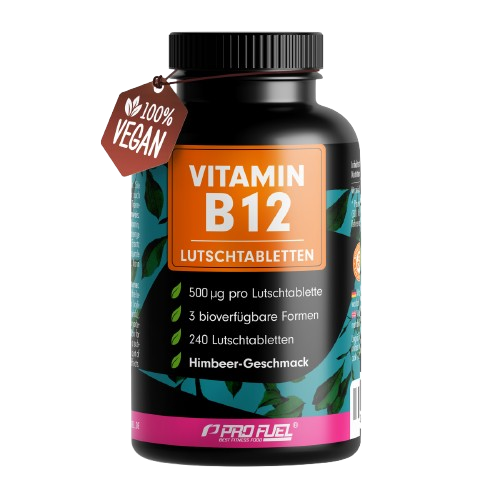 ProFuel Vitamin B12 - 240 Lutschtabletten